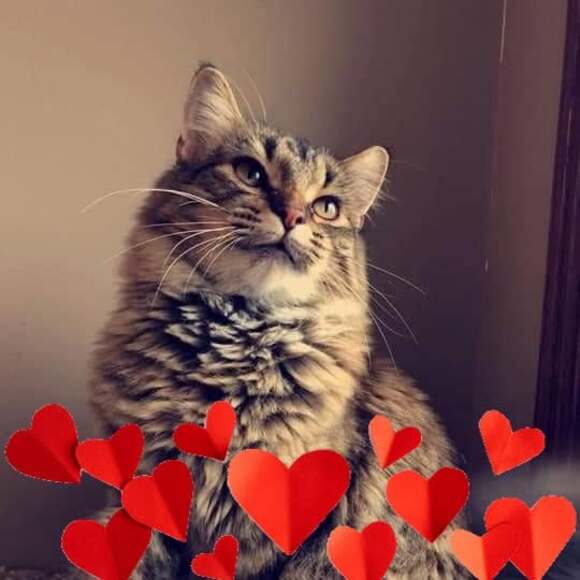 heatherluhubb